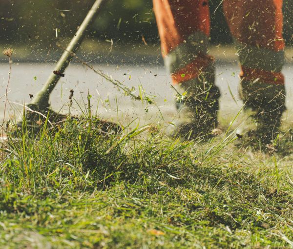 Jardinage par AS Domicile, service &agrave; la personne dans le Finist&egrave;re Nord